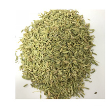 wholesale fennel high quality raw fennel seeds